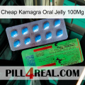 Cheap Kamagra Oral Jelly 100Mg new03